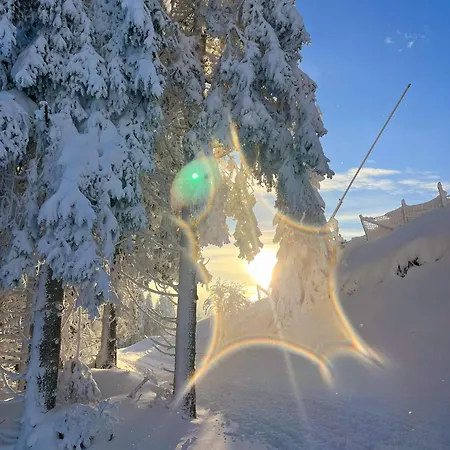 Kraehling * Шмалленберг