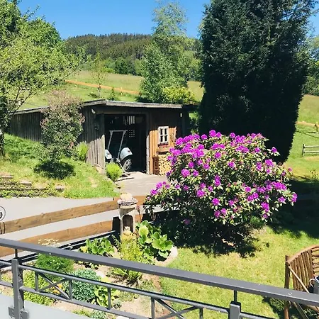 Kraehling Апартаменты Шмалленберг