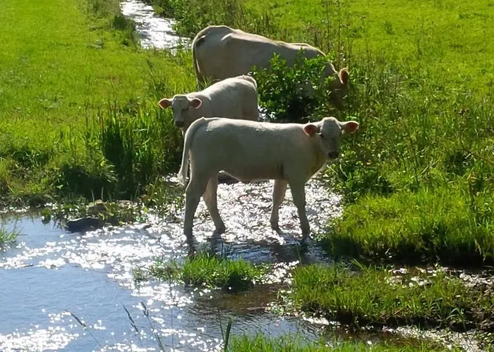 Kraehling * Schmallenberg